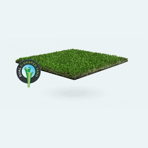 Namgrass-vision