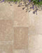 Paveworld Acid Wash Sinai Pearl limestone close-up showing textured tumbled finish
