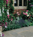 Paveworld Heritage Raj Green tumbled sandstone paving detail