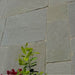 Paveworld Heritage Raj Green tumbled sandstone paving