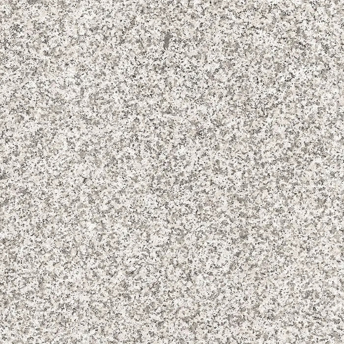 Paveworld Lake Silver Granite manufacturer close-up showing exact porcelain paving texture
