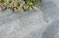 Paveworld Misty Black Pearl granite paving installed beside planting