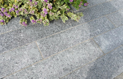 Paveworld Misty Black Pearl granite paving installed beside planting