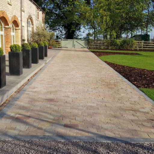 talasey-fossestone-forest