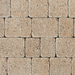 tegula-setts-golden